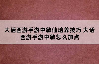 大话西游手游中敏仙培养技巧 大话西游手游中敏怎么加点